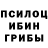 Галлюциногенные грибы мухоморы Kris Grotowski