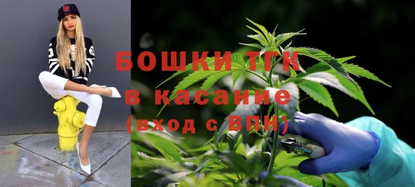 бошки Алексин