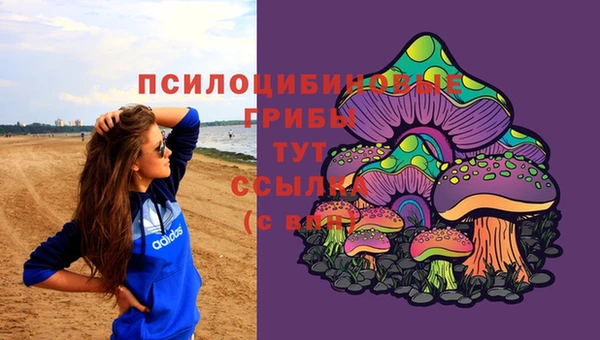 бошки Алексин