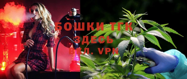 ешки Алзамай