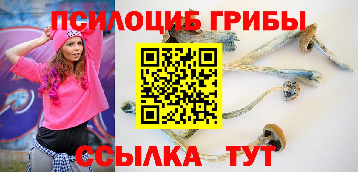 Псилоцибиновые грибы Magic Shrooms Чебоксары