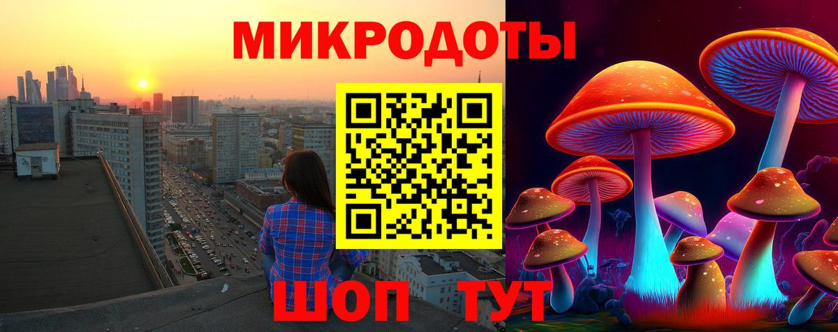 купить  сайты  Псилоцибиновые грибы Cubensis  Вход с VPN  Псилоцибиновые грибы мухоморы  Чебоксары 